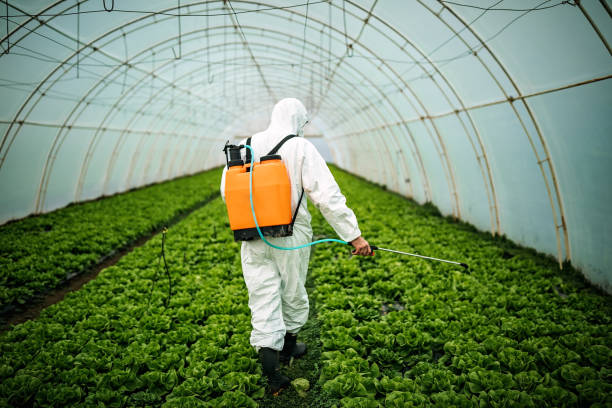 Best Best Pest Control Companies  in Clendenin, WV