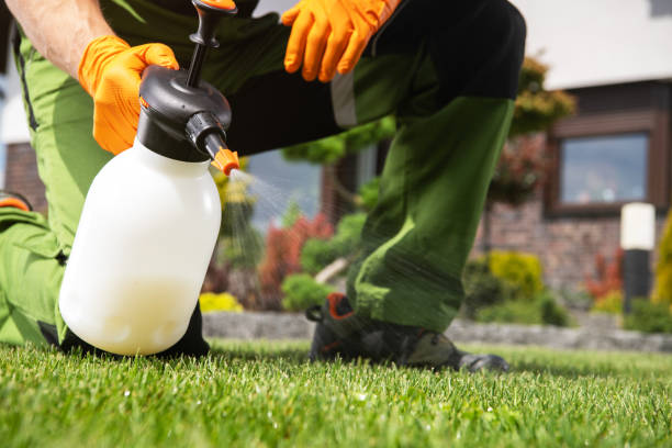 Best Pest Control Near Me  in Clendenin, WV