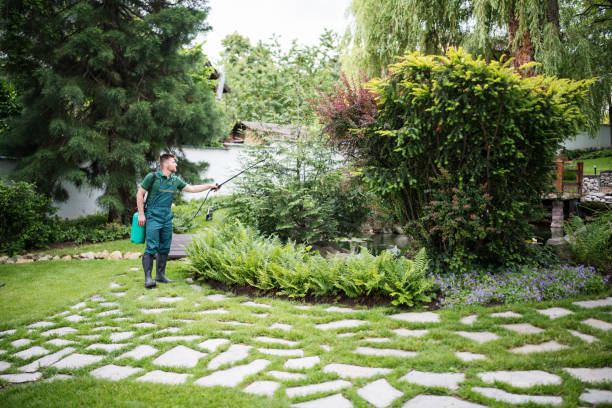 Best Pest Removal Services  in Clendenin, WV