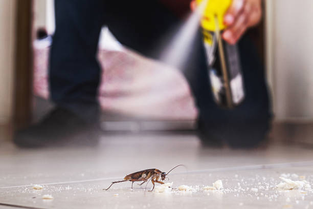 Trusted Clendenin, WV Pest Control Experts