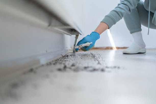 Best Exterminator Services  in Clendenin, WV